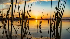 Wschód słońca nad jeziorem Mamry, Stanica Wodna Kietlice, czerwiec 2022 - zdjęcie 10