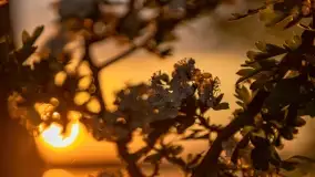 Zachód słońca nad jeziorem Kirsajty, koniec maja 2022 - zdjęcie 32