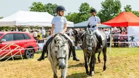 Sulimiada 2022, zobacz naszą fotorelację - zdjęcie 19