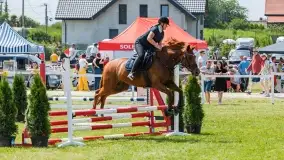 Sulimiada 2022, zobacz naszą fotorelację - zdjęcie 23