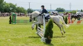 Sulimiada 2022, zobacz naszą fotorelację - zdjęcie 21