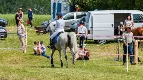 Sulimiada 2022, zobacz naszą fotorelację - zdjęcie 72