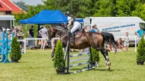 Sulimiada 2022, zobacz naszą fotorelację - zdjęcie 92