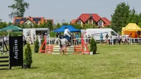 Sulimiada 2022, zobacz naszą fotorelację - zdjęcie 66