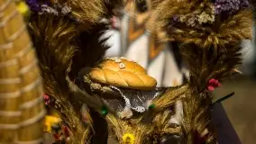 Fotorelacja z dożynek w Nowych Gutach, sierpień 2022 - zdjęcie 47