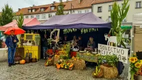 Fotorelacja z dożynek Gminnych w Piszu, Piknik Wołowy - zdjęcie 11