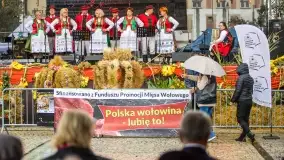 Fotorelacja z dożynek Gminnych w Piszu, Piknik Wołowy - zdjęcie 39