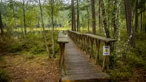 Fotorelacja -  Ogólnopolski Dzień Parków Krajobrazowych w Puszczy Piskiej - zdjęcie 46