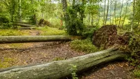 Fotorelacja -  Ogólnopolski Dzień Parków Krajobrazowych w Puszczy Piskiej - zdjęcie 35