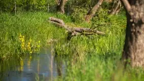 Szczytno i okolice na zdjęciach Marty Sotnik, 2022 - zdjęcie 15