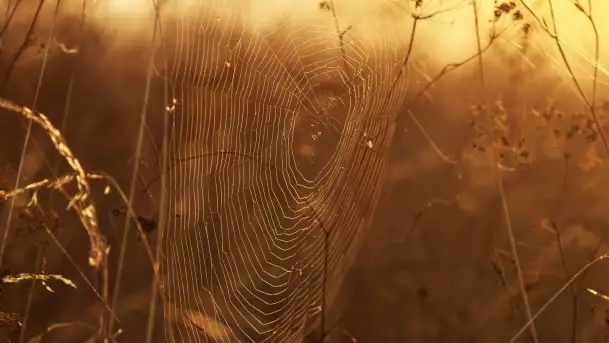 Szczytno i okolice na zdjęciach Marty Sotnik, 2022 - zdjęcie 4