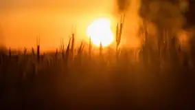 Wiosenny zachód słońca w okolica jeziora Stręgiel - zdjęcie 25