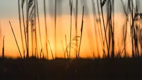 Wiosenny zachód słońca w okolica jeziora Stręgiel - zdjęcie 16