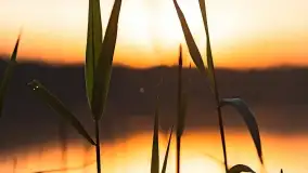 Wiosenny zachód słońca w okolica jeziora Stręgiel - zdjęcie 17