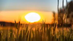 Wiosenny zachód słońca w okolica jeziora Stręgiel - zdjęcie 19