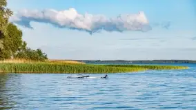 Zachód słońca nad jeziorem Mamry, Cypel Zwierzyniecki Róg - zdjęcie 15