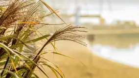 Poranek w Bocianim Gnieździe i te... mgły nad jeziorem Ryńskim - zdjęcie 10