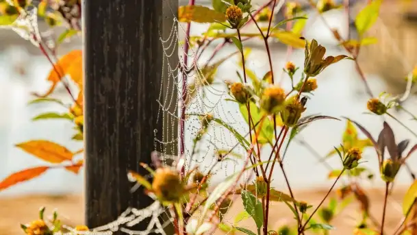 Poranek w Bocianim Gnieździe i te... mgły nad jeziorem Ryńskim - zdjęcie 4