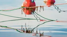 Poranek w Bocianim Gnieździe i te... mgły nad jeziorem Ryńskim - zdjęcie 19