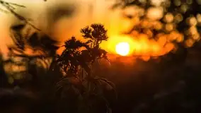 Sierpniowy zachód słońca nad jeziorem Dargin - zdjęcie 16