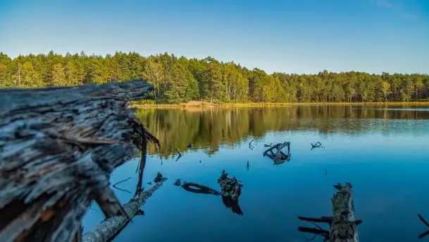 Jezioro Wesołek i puszcza Piska - zdjęcie 7