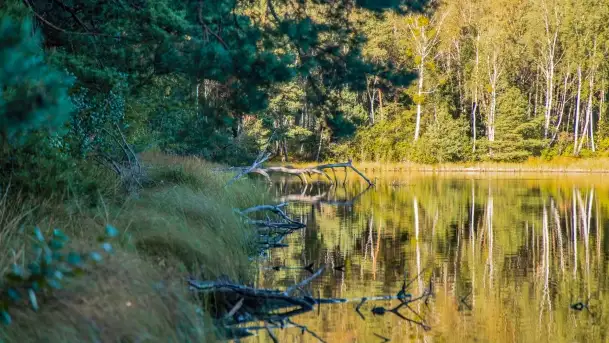 Jezioro Wesołek i puszcza Piska - zdjęcie 3