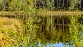 Jezioro Wesołek i puszcza Piska - zdjęcie 28