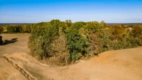 Jesień na mazurskich traktach, polach i łąkach, październik 2022 - zdjęcie 50