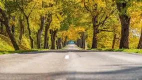 Jesień na mazurskich traktach, polach i łąkach, październik 2022 - zdjęcie 77