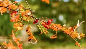 Jesień na mazurskich traktach, polach i łąkach, październik 2022 - zdjęcie 73