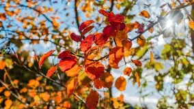 Jesień na mazurskich traktach, polach i łąkach, październik 2022 - zdjęcie 94