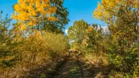 Jesień na mazurskich traktach, polach i łąkach, październik 2022 - zdjęcie 113