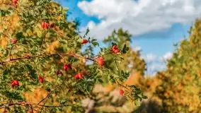 Jesień na mazurskich traktach, polach i łąkach, październik 2022 - zdjęcie 111