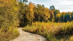 Jesień na mazurskich traktach, polach i łąkach, październik 2022 - zdjęcie 123