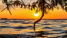 Zachód słońca w Pieczarkach, jezioro Dargin, lipiec 2022 - zdjęcie 24