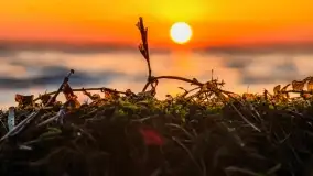 Zachód słońca w Pieczarkach, jezioro Dargin, lipiec 2022 - zdjęcie 20