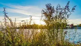 Zachód słońca w Rynie, październik 2022 - zdjęcie 27