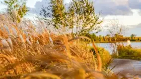 Zachód słońca w Rynie, październik 2022 - zdjęcie 23