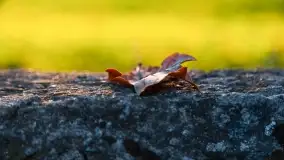 Jesienny zachód słońca nad jeziorem Mój, październik 2022 - zdjęcie 4