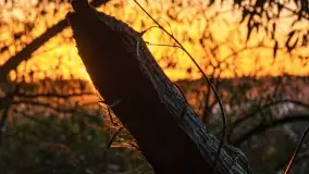 Jesienny zachód słońca nad jeziorem Mój, październik 2022 - zdjęcie 7