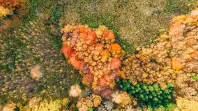 Fotograficzne podsumowanie jesieni na Mazurach 2022 - zdjęcie 29