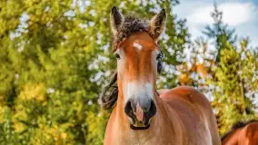 Fotograficzne podsumowanie jesieni na Mazurach 2022 - zdjęcie 83