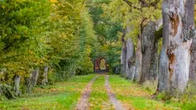 Fotograficzne podsumowanie jesieni na Mazurach 2022 - zdjęcie 65