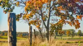 Fotograficzne podsumowanie jesieni na Mazurach 2022 - zdjęcie 5