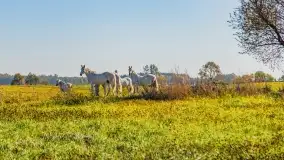 Fotograficzne podsumowanie jesieni na Mazurach 2022 - zdjęcie 30