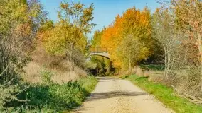 Fotograficzne podsumowanie jesieni na Mazurach 2022 - zdjęcie 18