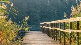 Fotograficzne podsumowanie jesieni na Mazurach 2022 - zdjęcie 107