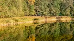 Fotograficzne podsumowanie jesieni na Mazurach 2022 - zdjęcie 110