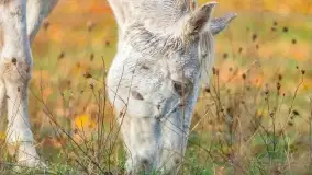 Fotograficzne podsumowanie jesieni na Mazurach 2022 - zdjęcie 164