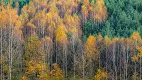 Fotograficzne podsumowanie jesieni na Mazurach 2022 - zdjęcie 16